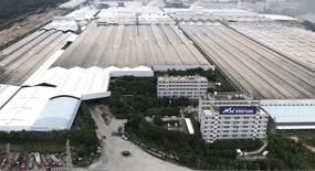 風(fēng)采展示
